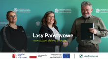 Lasy Państwowe inwestują w zieloną energię