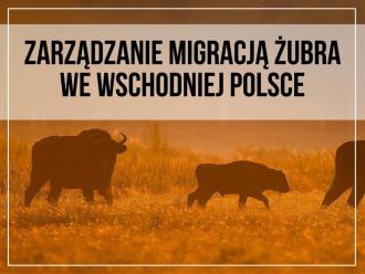ZARZĄDZANIE MIGRACJĄ ŻUBRA WE WSCHODNIEJ POLSCE