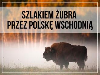 SZLAKIEM ŻUBRA PRZEZ POLSKĘ WSCHODNIĄ