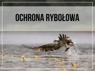 Ochrona rybołowa