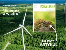 Energia z lasu - w magazynie Echa Leśne